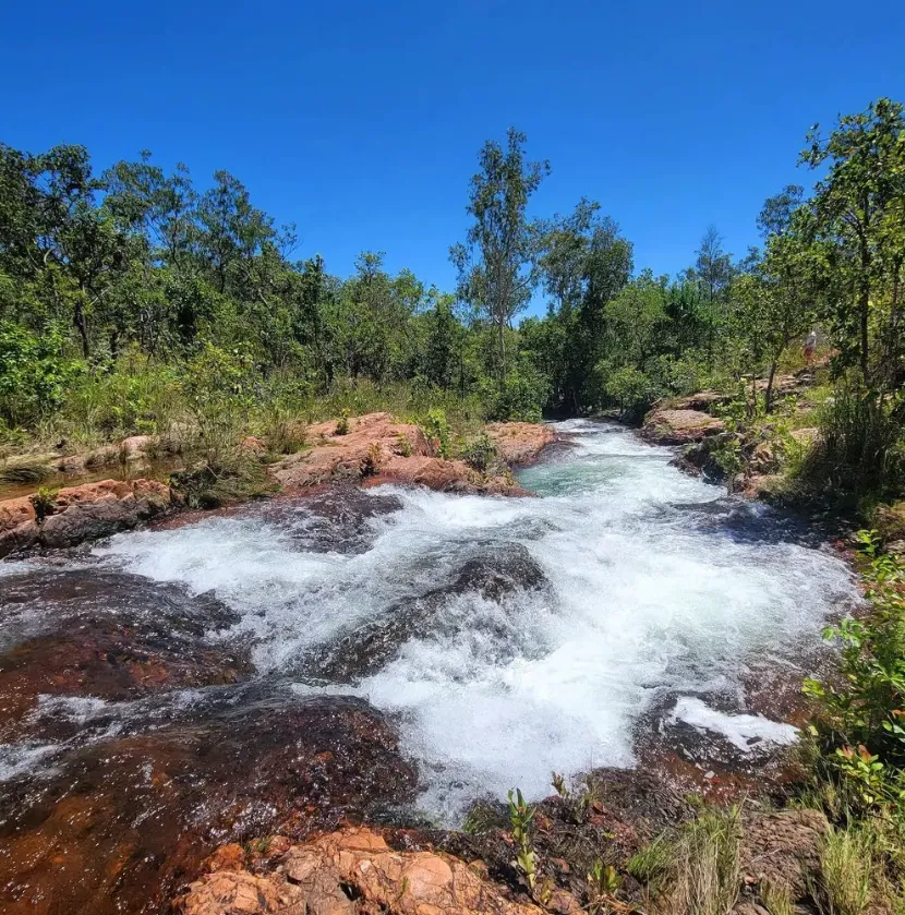 Travel and beauty Australia | The Best Hiking Trails in Litchfield National Park