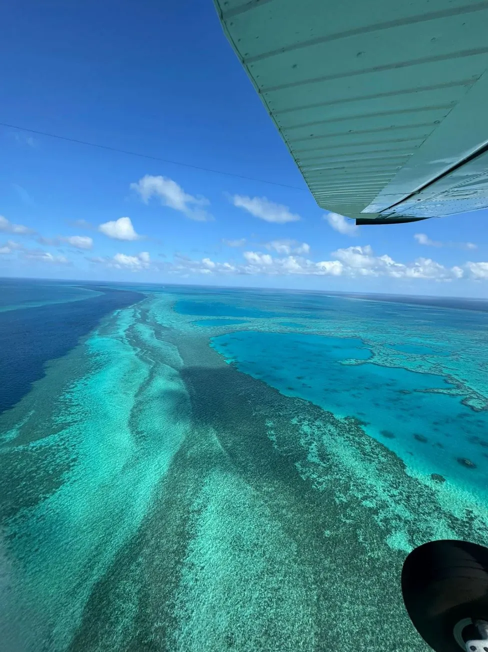 Travel and beauty Australia|How Much Does It Cost To Go To The Great Barrier Reef?