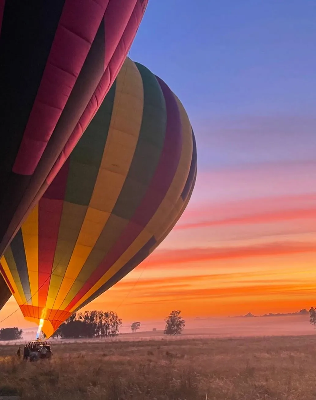Travel and beauty Australia | What Is the Most Famous Winery in the Hunter Valley?